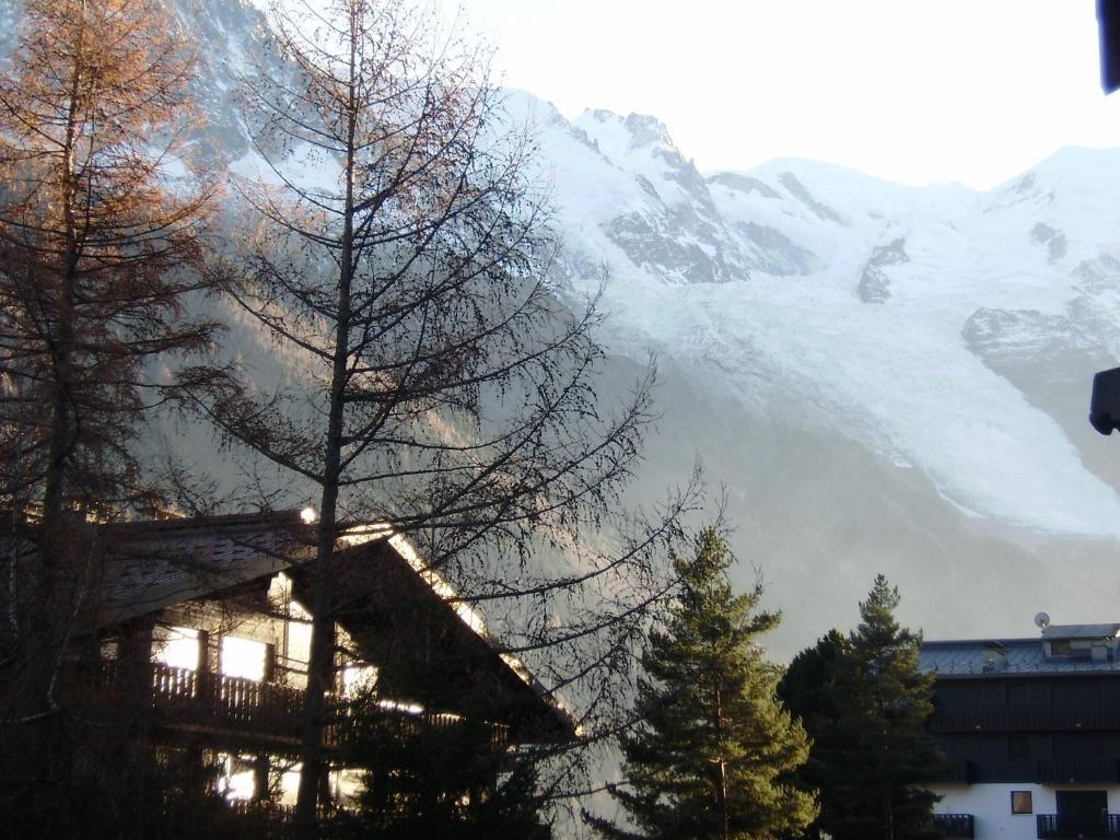 Studio Les Drus / Studio Du Brevent Chamonix Exterior foto