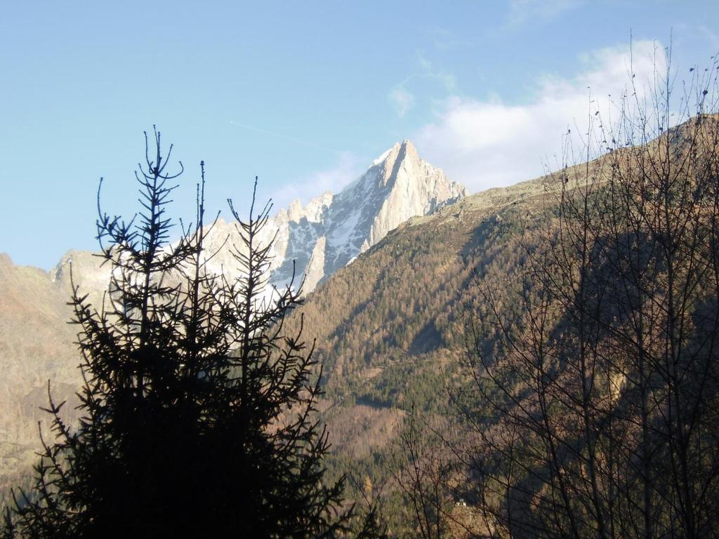 Studio Les Drus / Studio Du Brevent Chamonix Zimmer foto